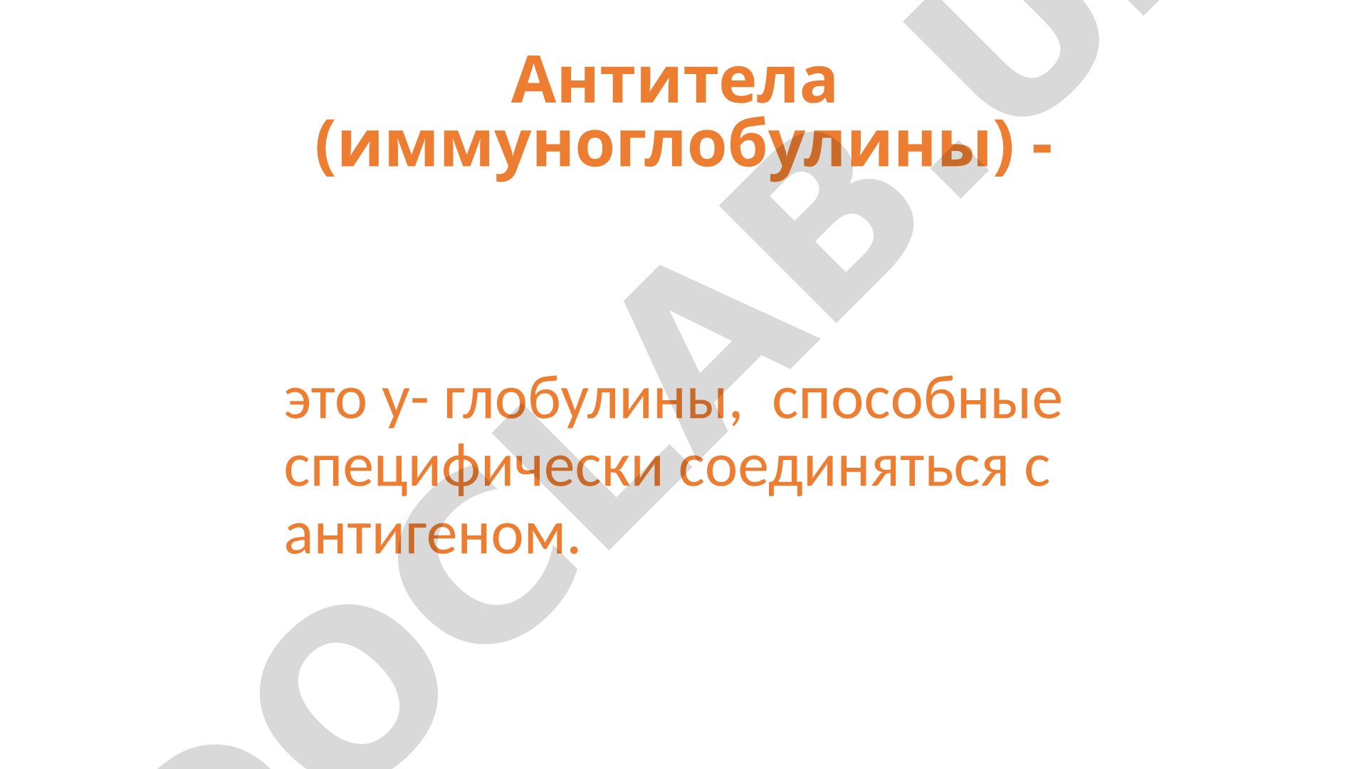 Антитела (иммуноглобулины): происхождение, функции и свойства