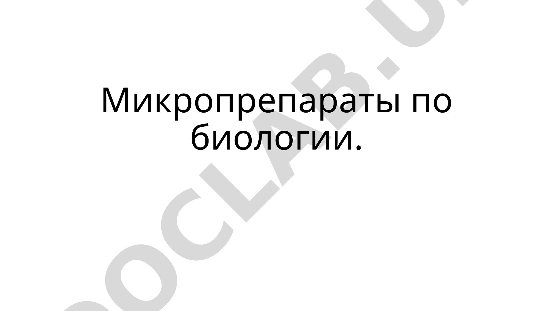 Список микропрепаратов по биологии: насекомые-паразиты, клещи, черви и их личинки