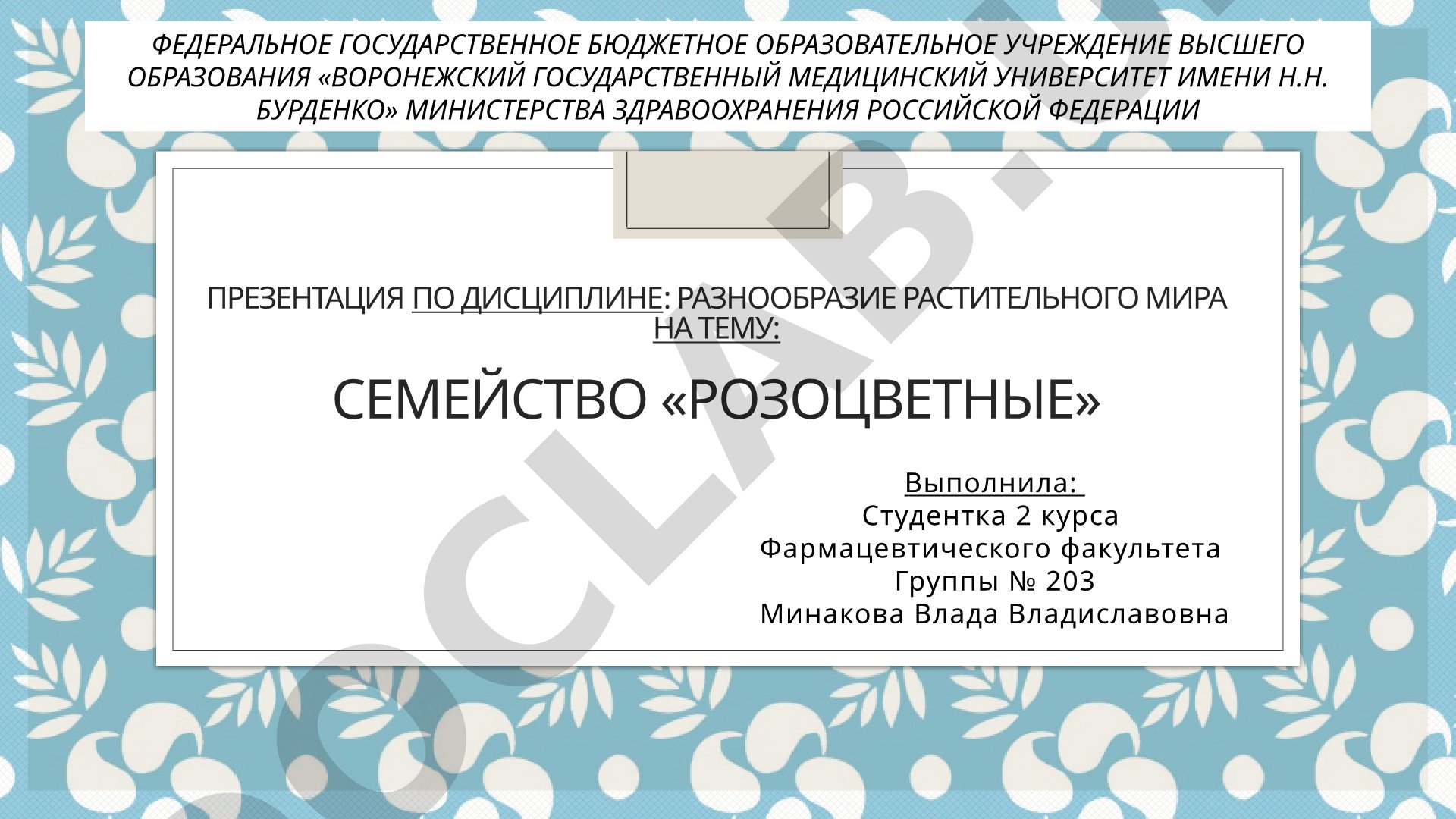 Семейство «Розоцветные»