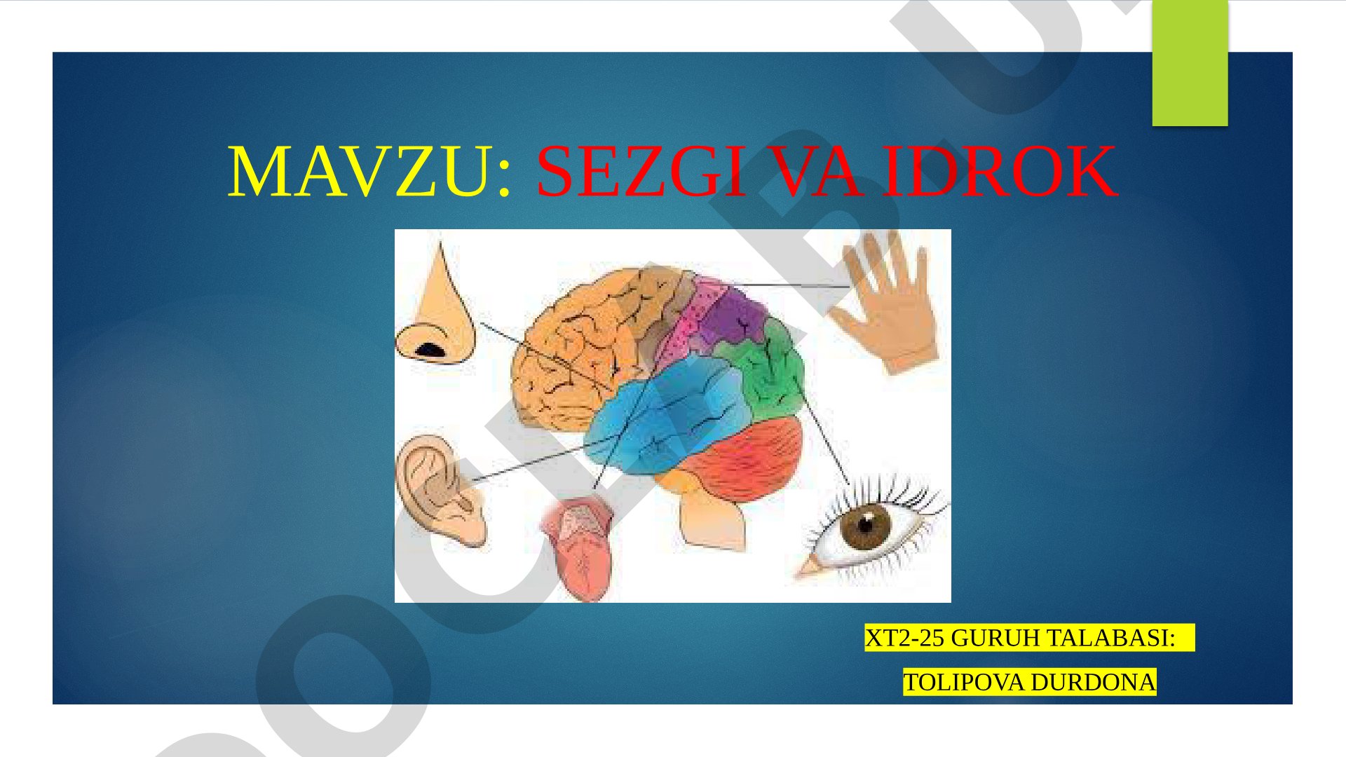 Sezgi va idrok haqida tushuncha