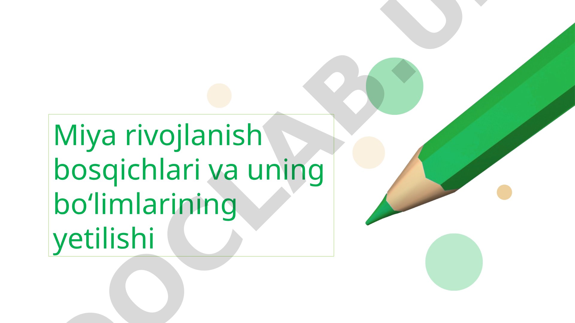 Miya rivojlanish bosqichlari va uning bo‘limlarining yetilishi