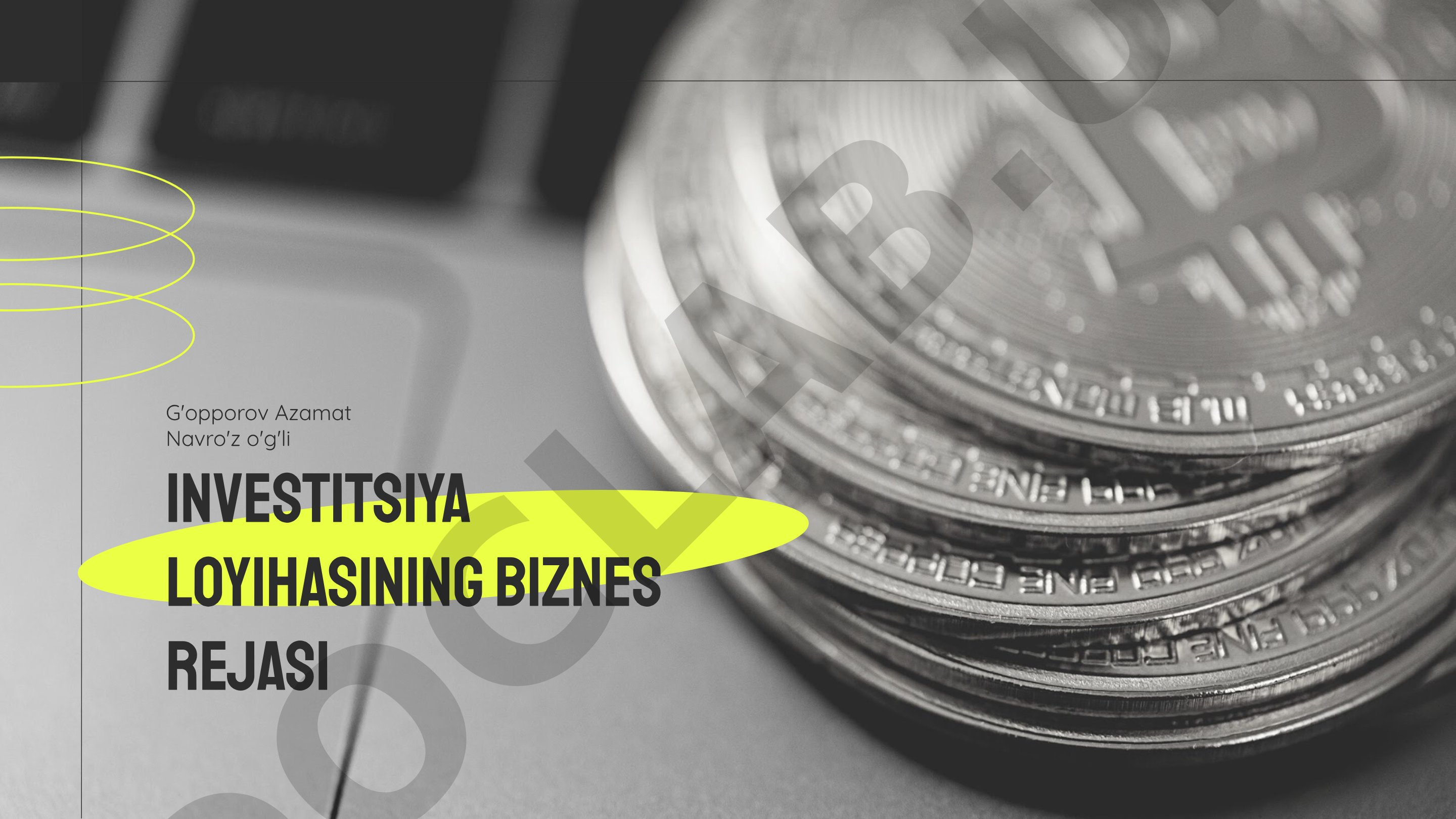 Investitsiya loyihasining biznes rejasi