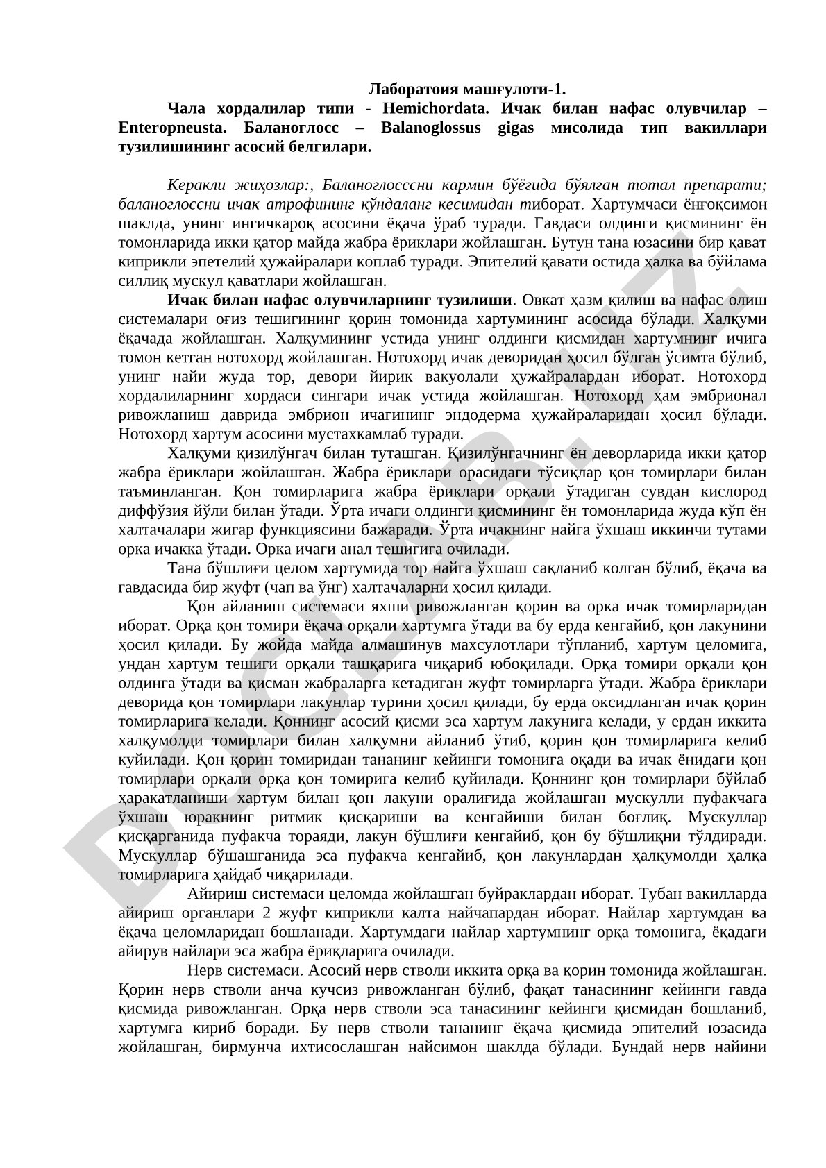 Balanoglossus gigas misolida chala xordalilar tuzilishi
