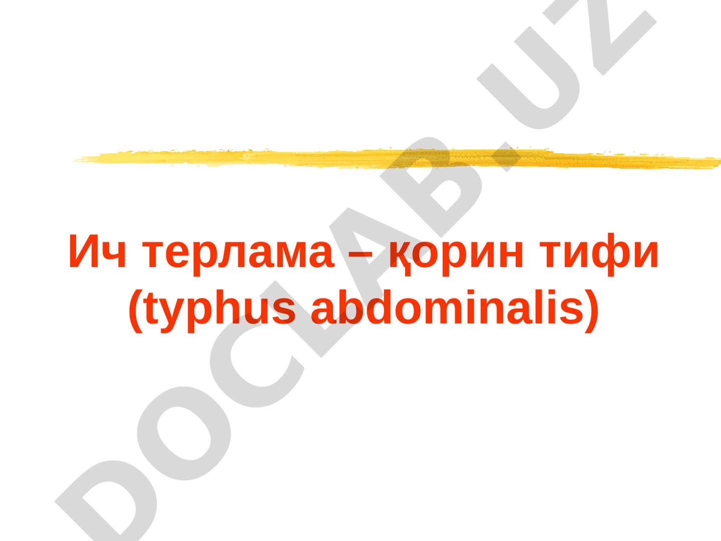 Ич терлама – қорин тифи (typhus abdominalis)