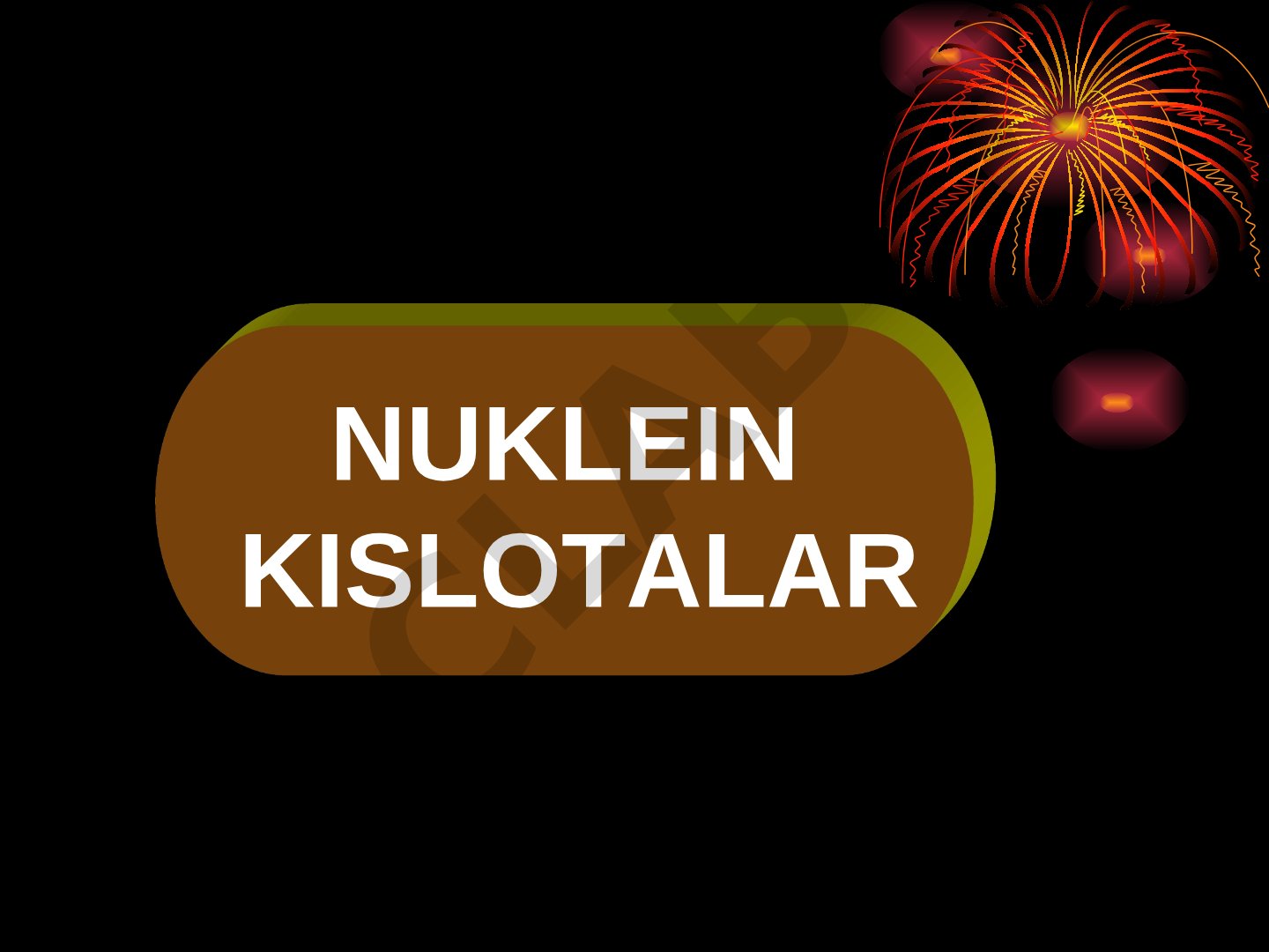 Nuklein kislotalar