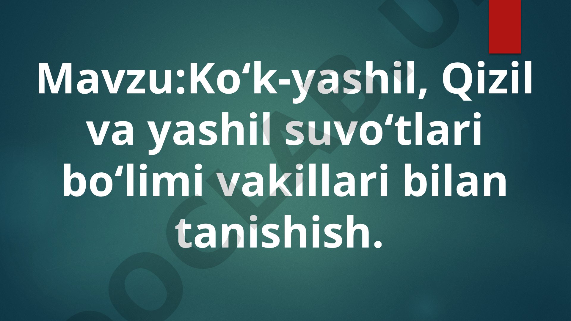 Ko‘k-yashil, Qizil va yashil suvo‘tlari bo‘limi vakillari bilan tanishish