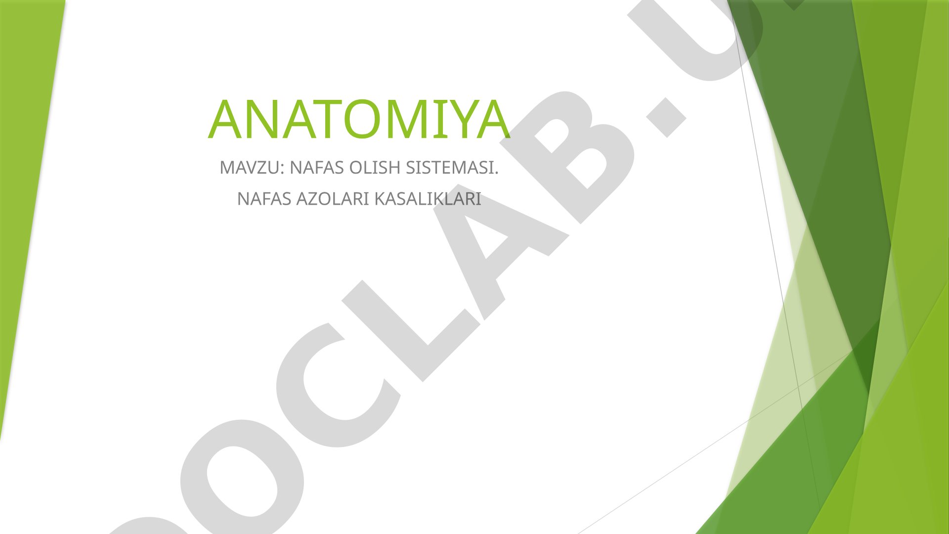 Nafas olish sistemasi. Nafas azolari kasalliklari