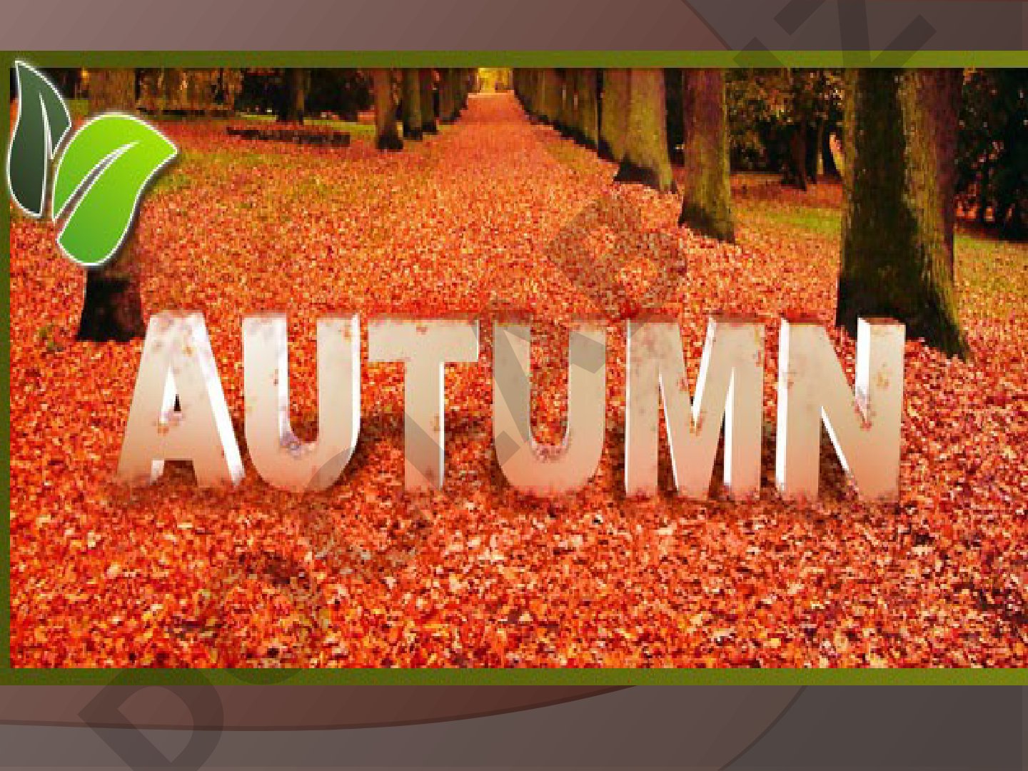 Autumn is one of the four seasons