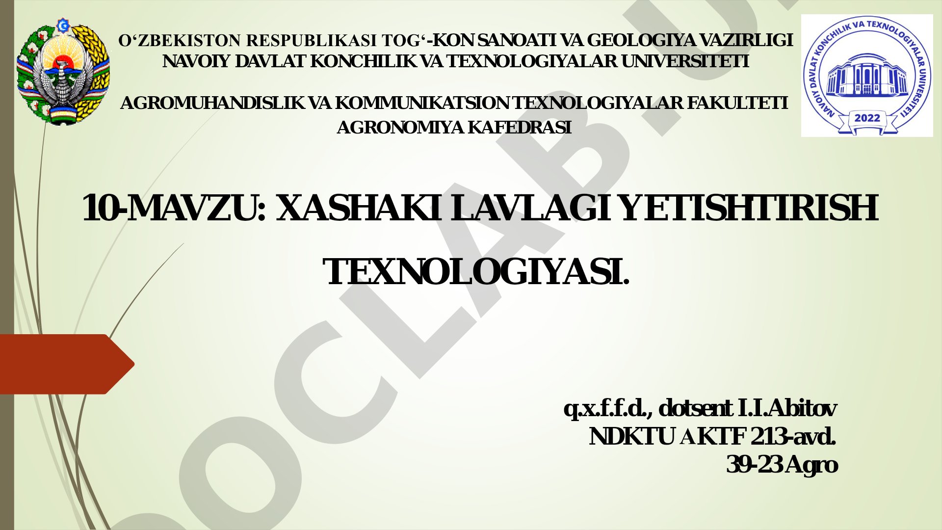 Xashaki lavlagi yetishtirish texnologiyasi