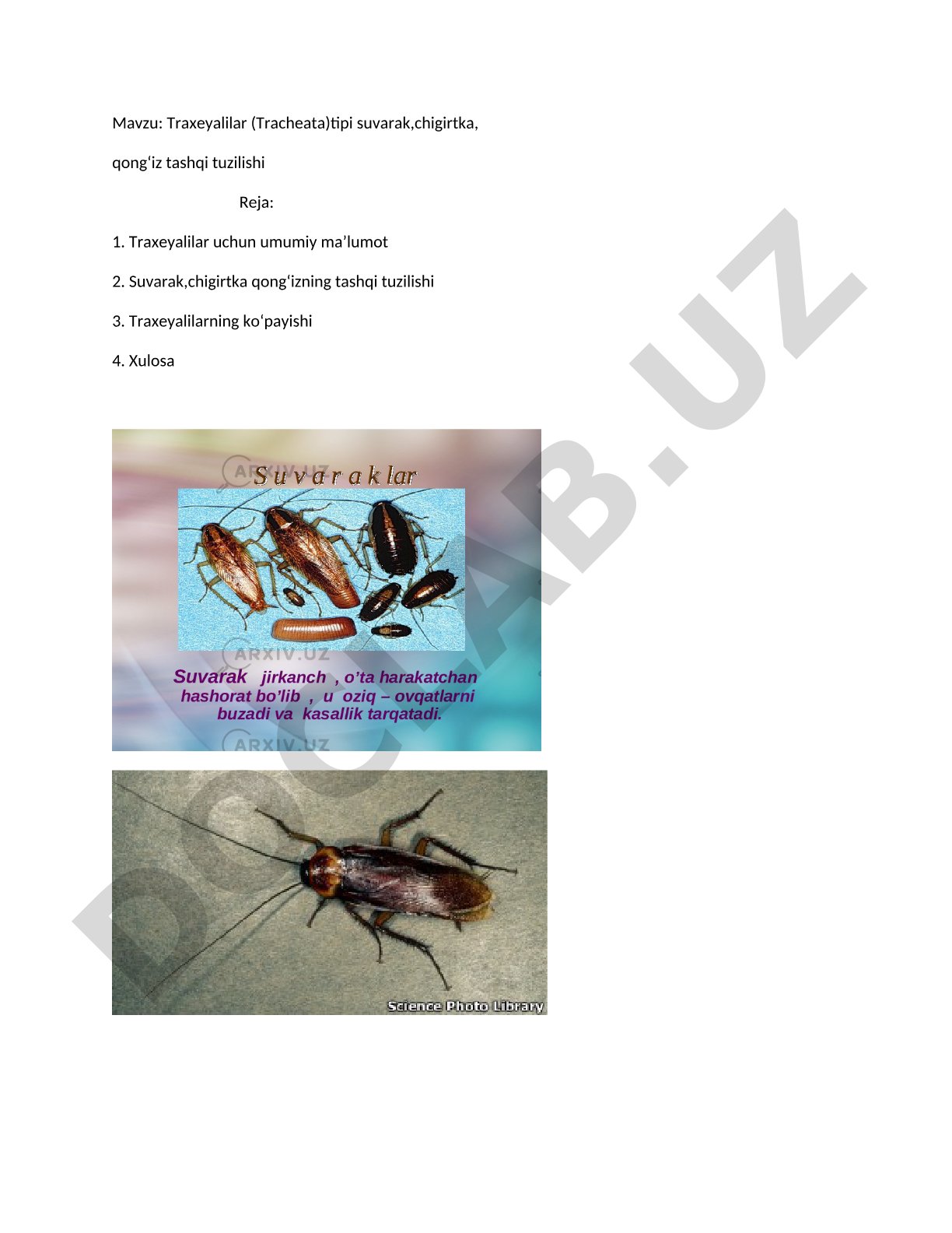 Traxeyalilar (Tracheata)tipi suvarak,chigirtka, qongʻiz tashqi tuzilishi