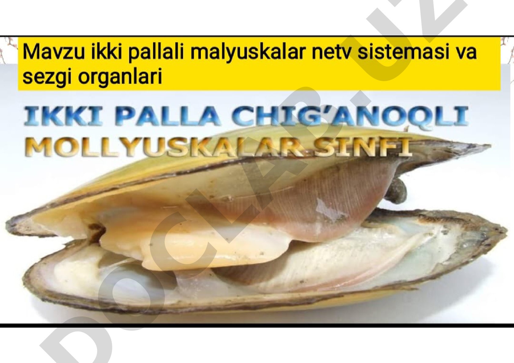 Falsafa taraqqiyotining asosiy bosqichlari
