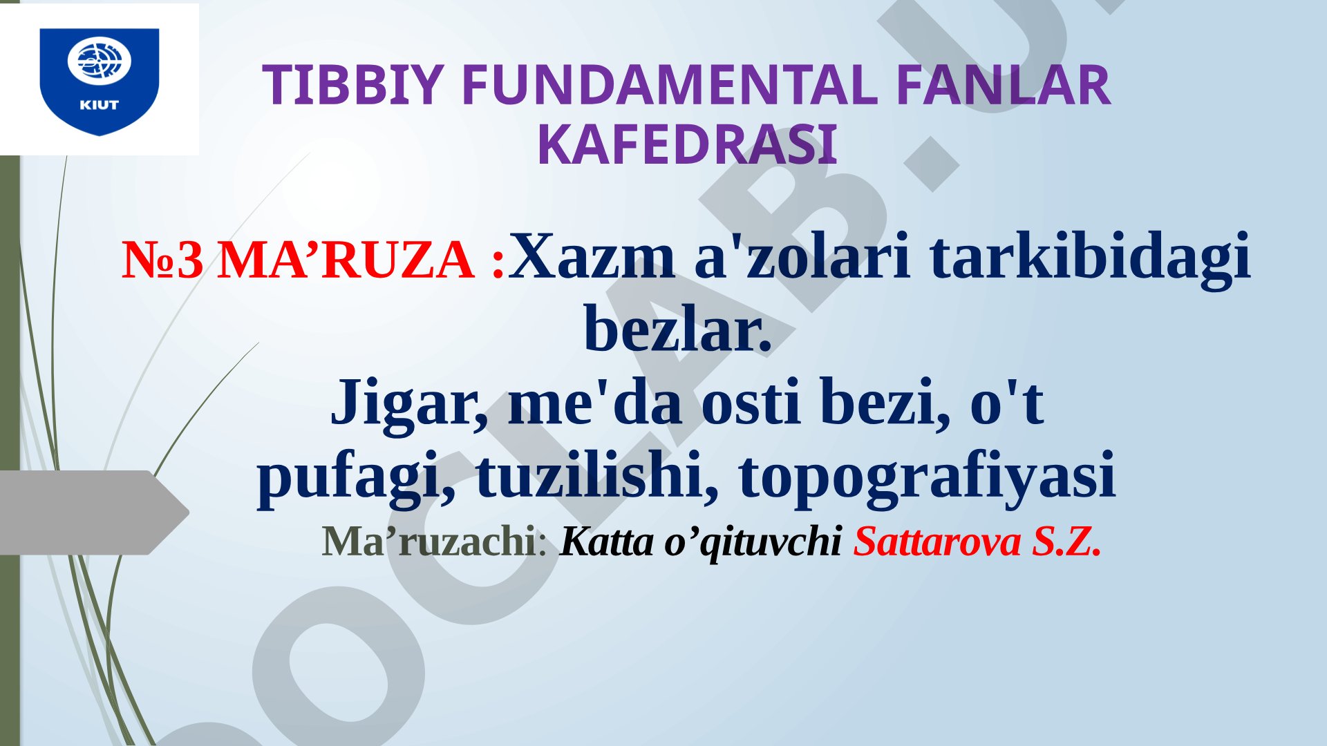Xazm a'zolari tarkibidagi bеzlаr. Jigar, me'da osti bezi, o't pufagi, tuzilishi, topografiyasi
