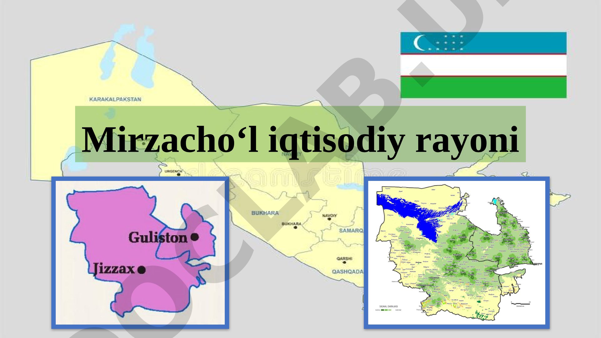 Mirzacho‘l iqtisodiy rayoni