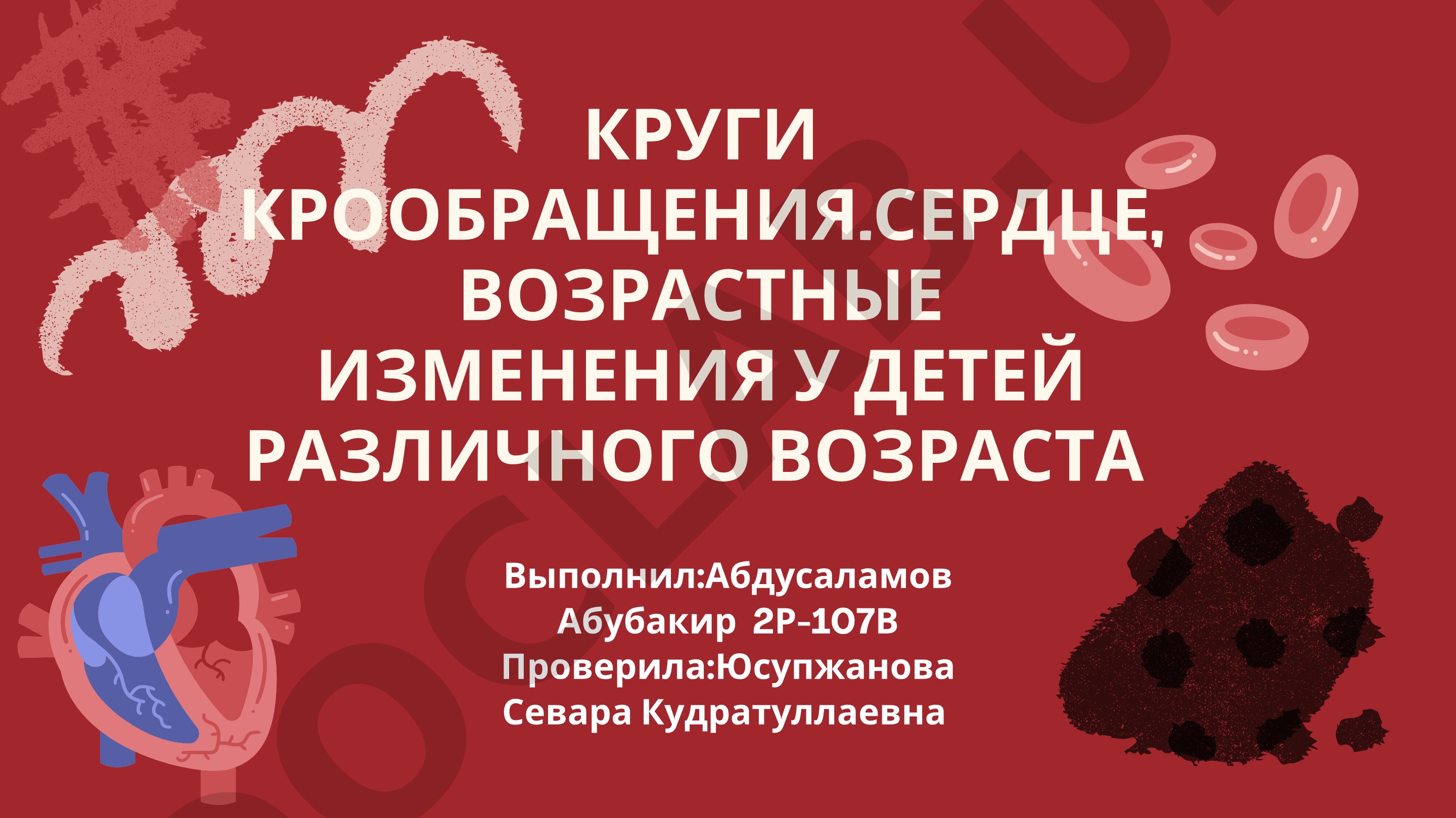 Круги кровообращения. Сердце, возрастные изменения у детей различного возраста