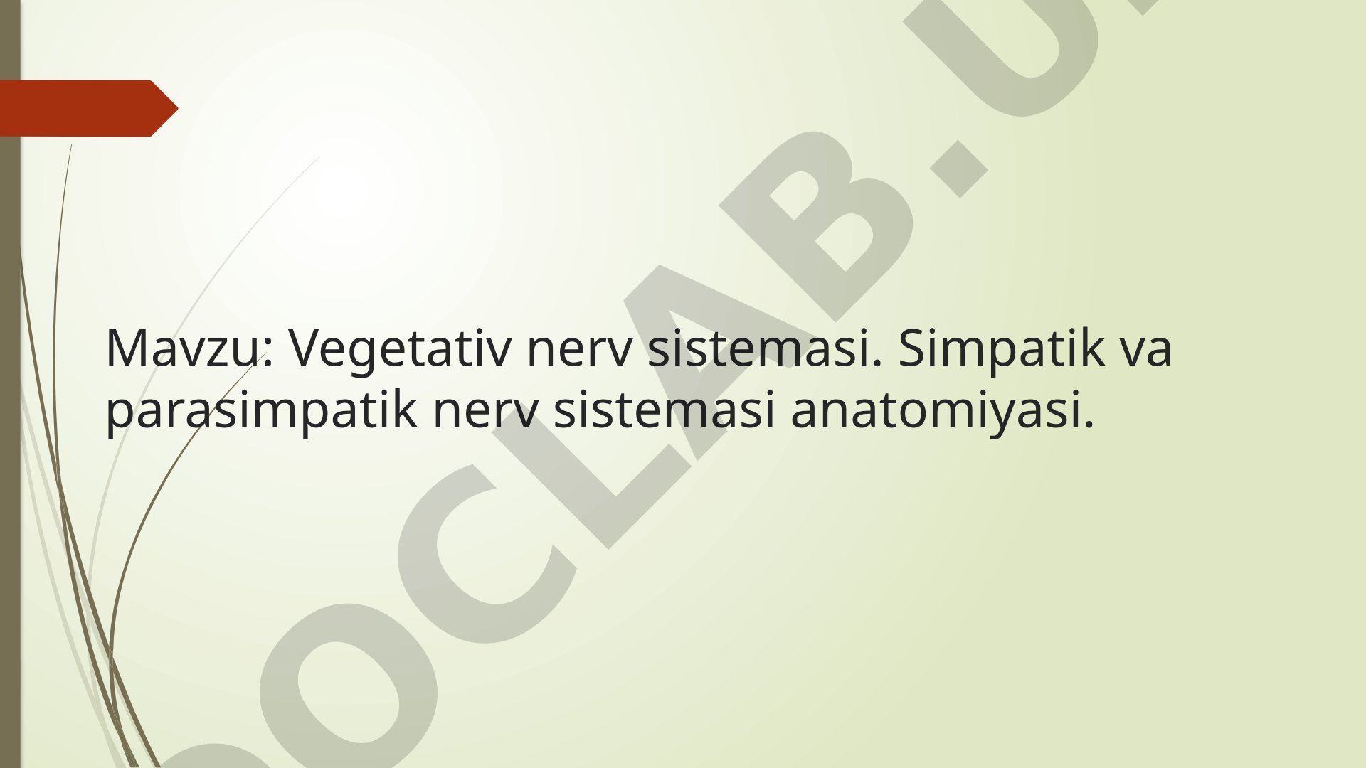 Vegetativ nerv sistemasi. Simpatik va parasimpatik nerv sistemasi anatomiyasi