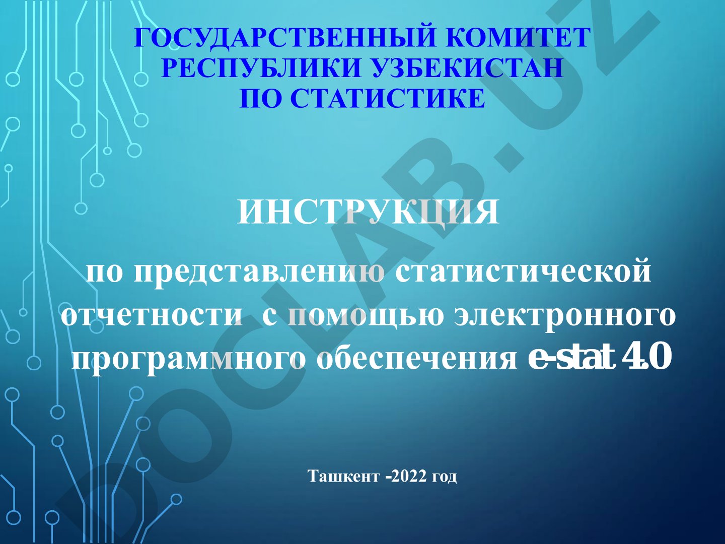Инструкция по представлению статистической отчетности e-stat 4.0