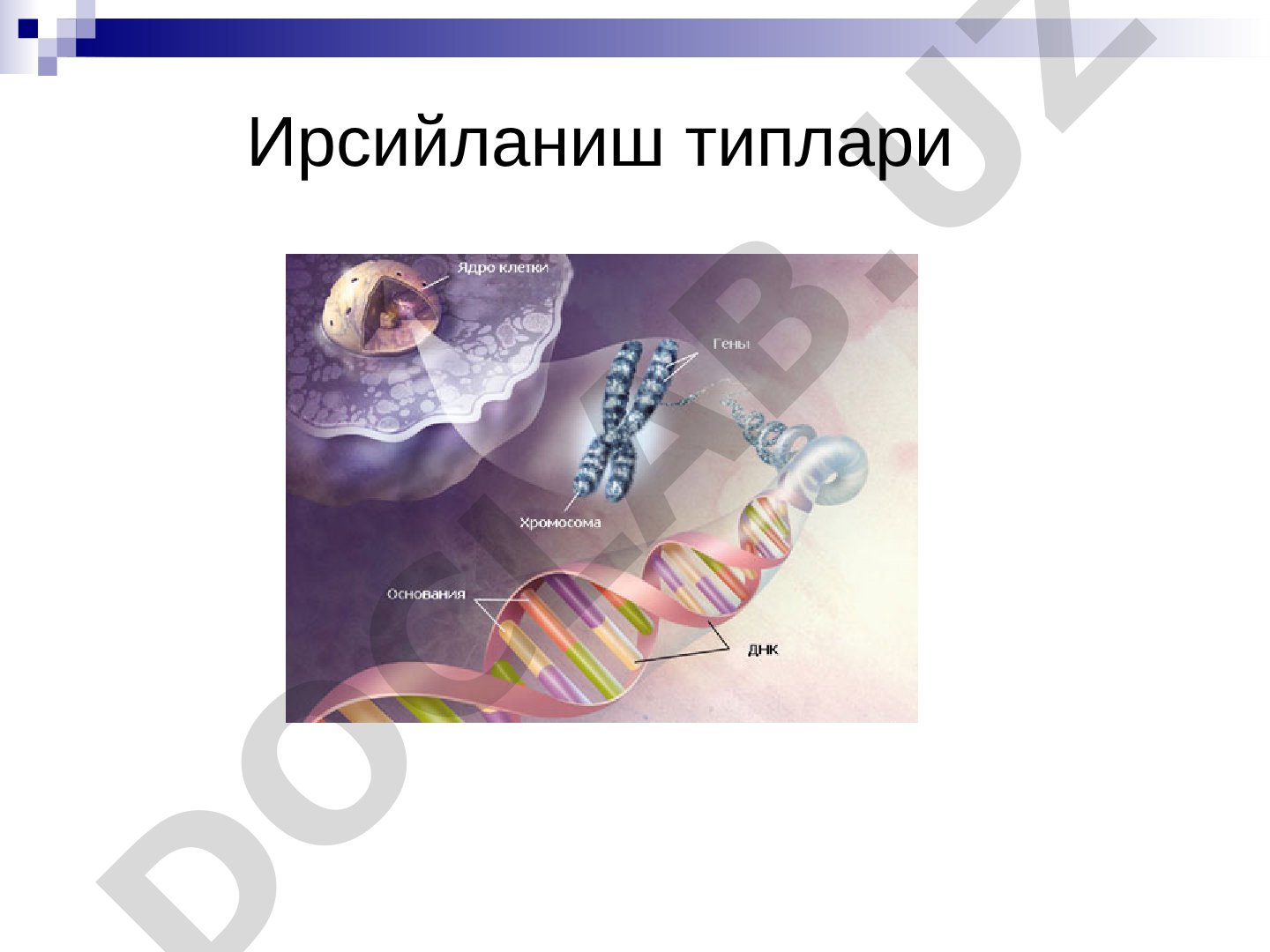 Аутосом доминант, рецессив ва жинс билан бириккан ирсийланиш белгилари
