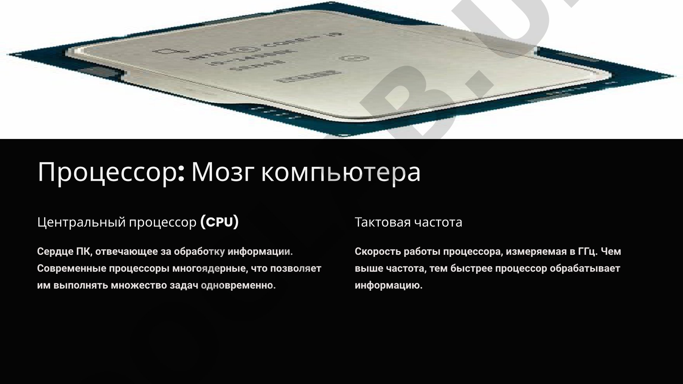 Процессор: Мозг компьютера