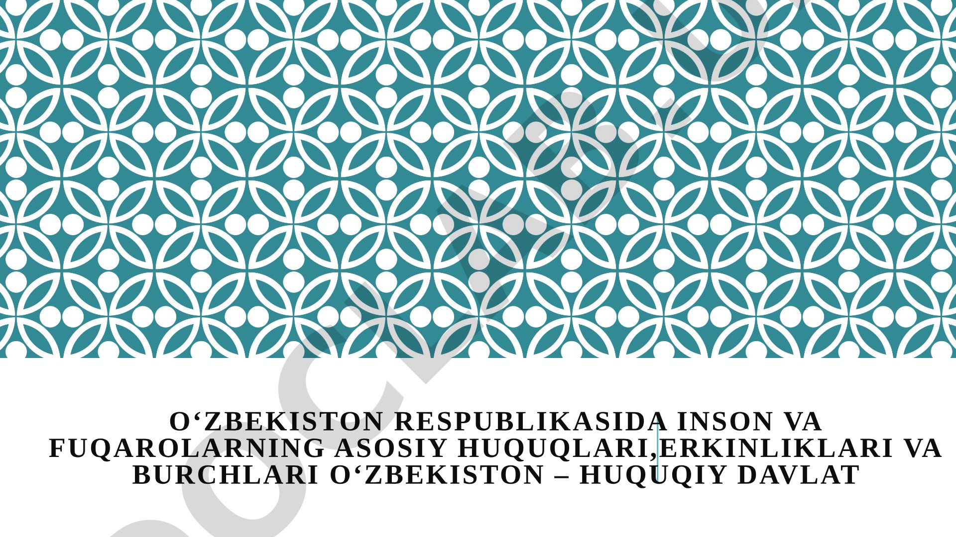 O‘zbekistonda inson huquqlari va yangi Konstitutsiya