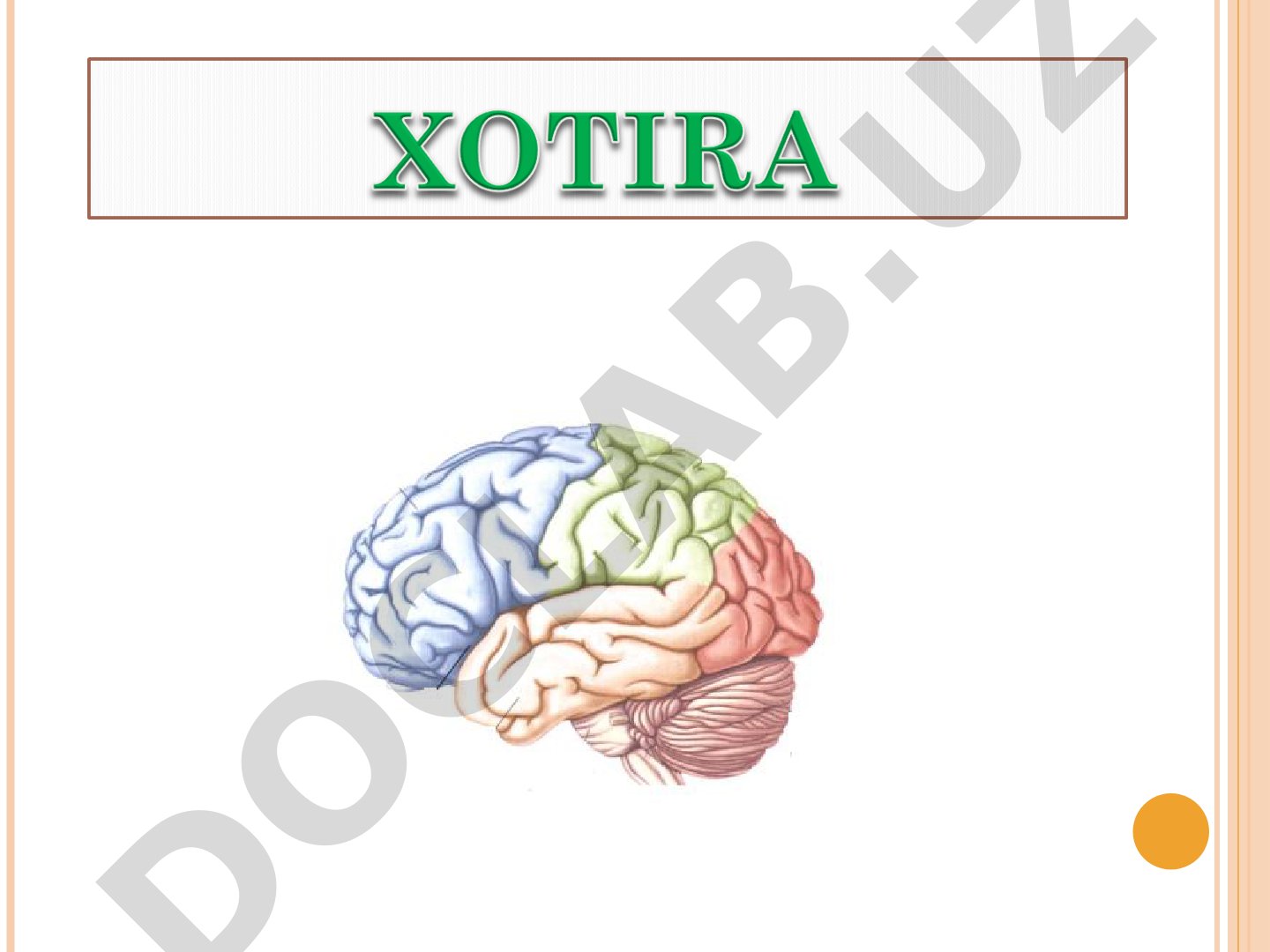 Xotira haqida tushuncha