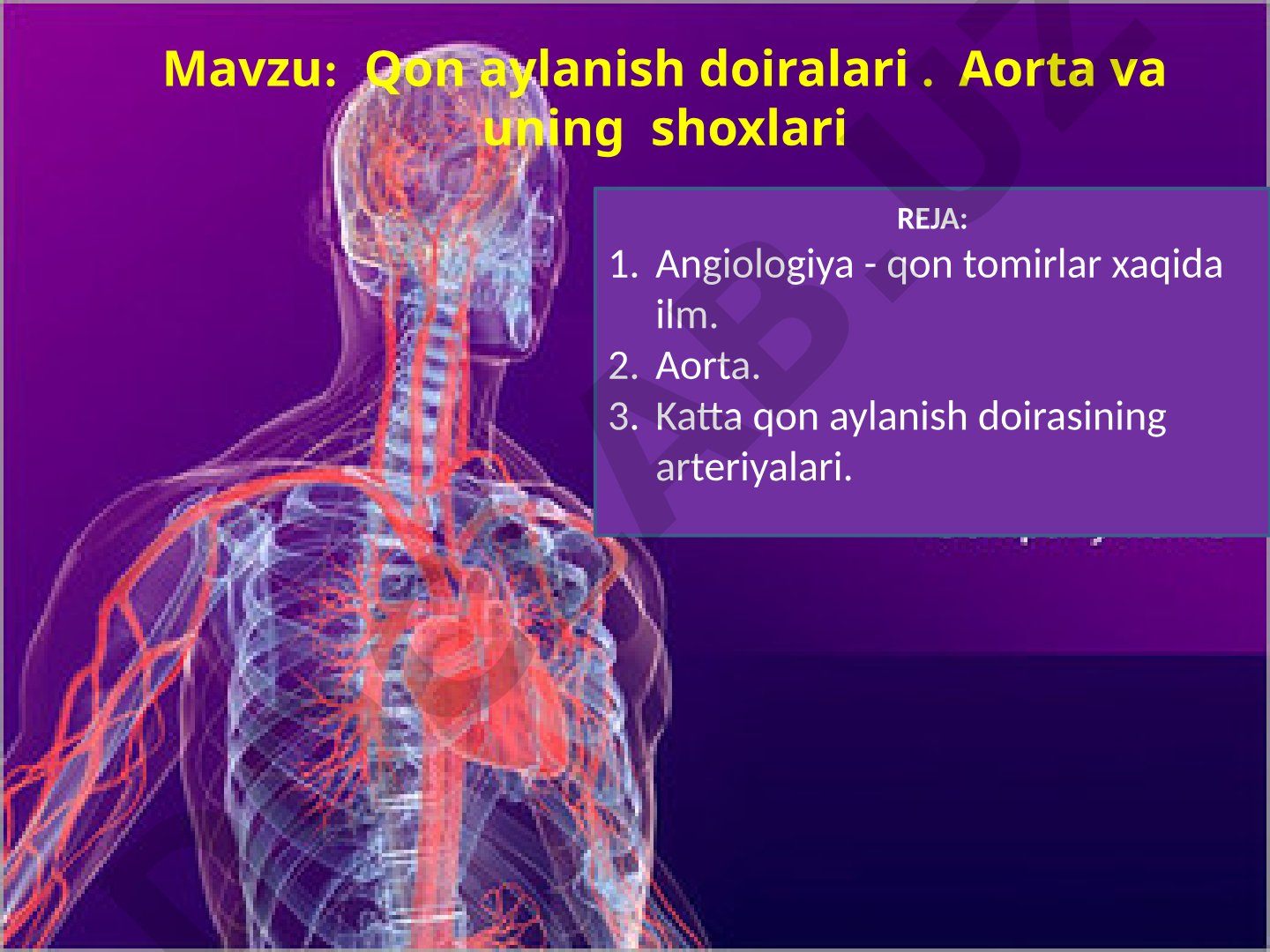Qon aylanish doiralari: Aorta va uning shoxlari