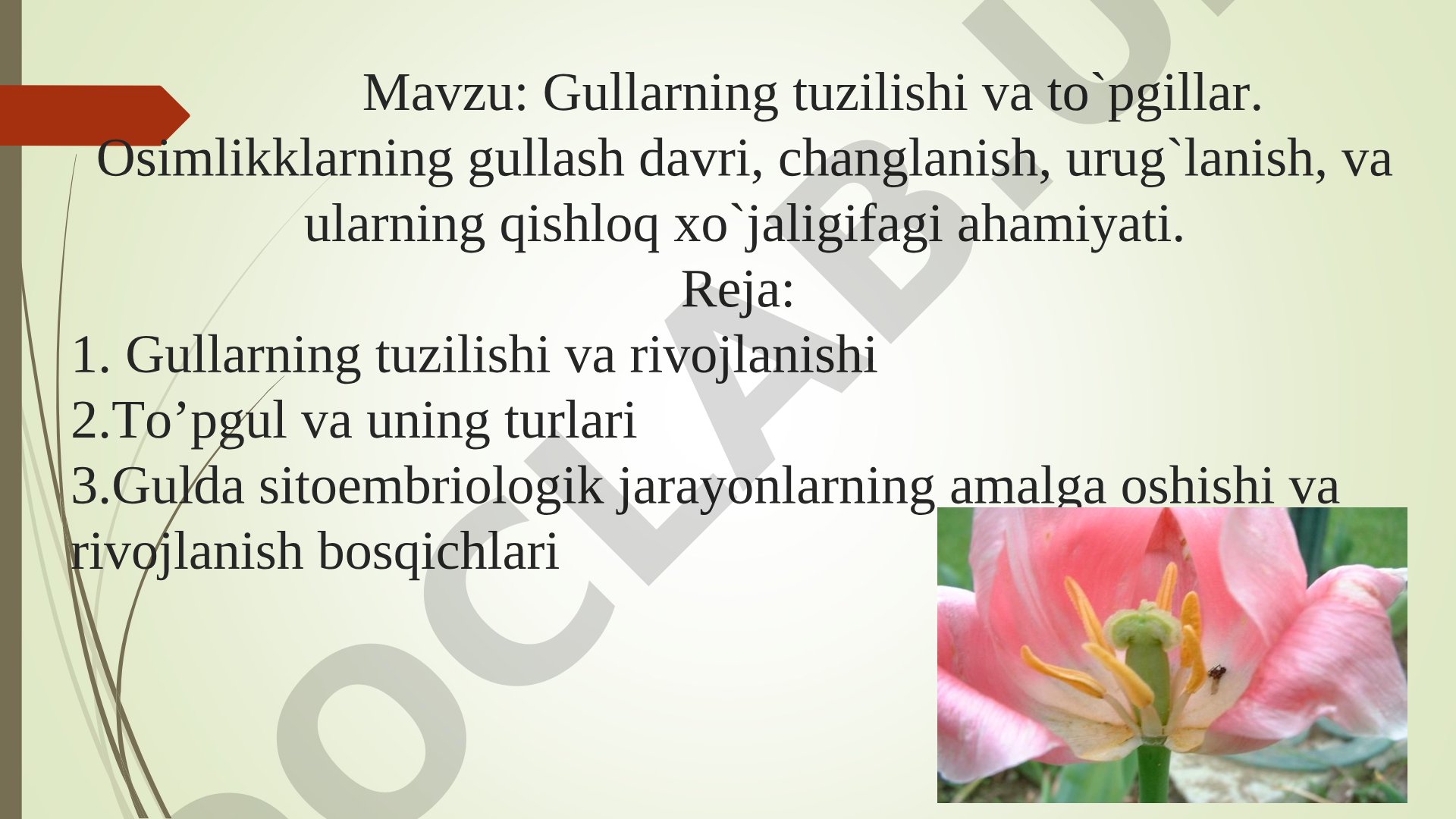 Gullarning tuzilishi, to'pgullar, changlanish va urug'lanish