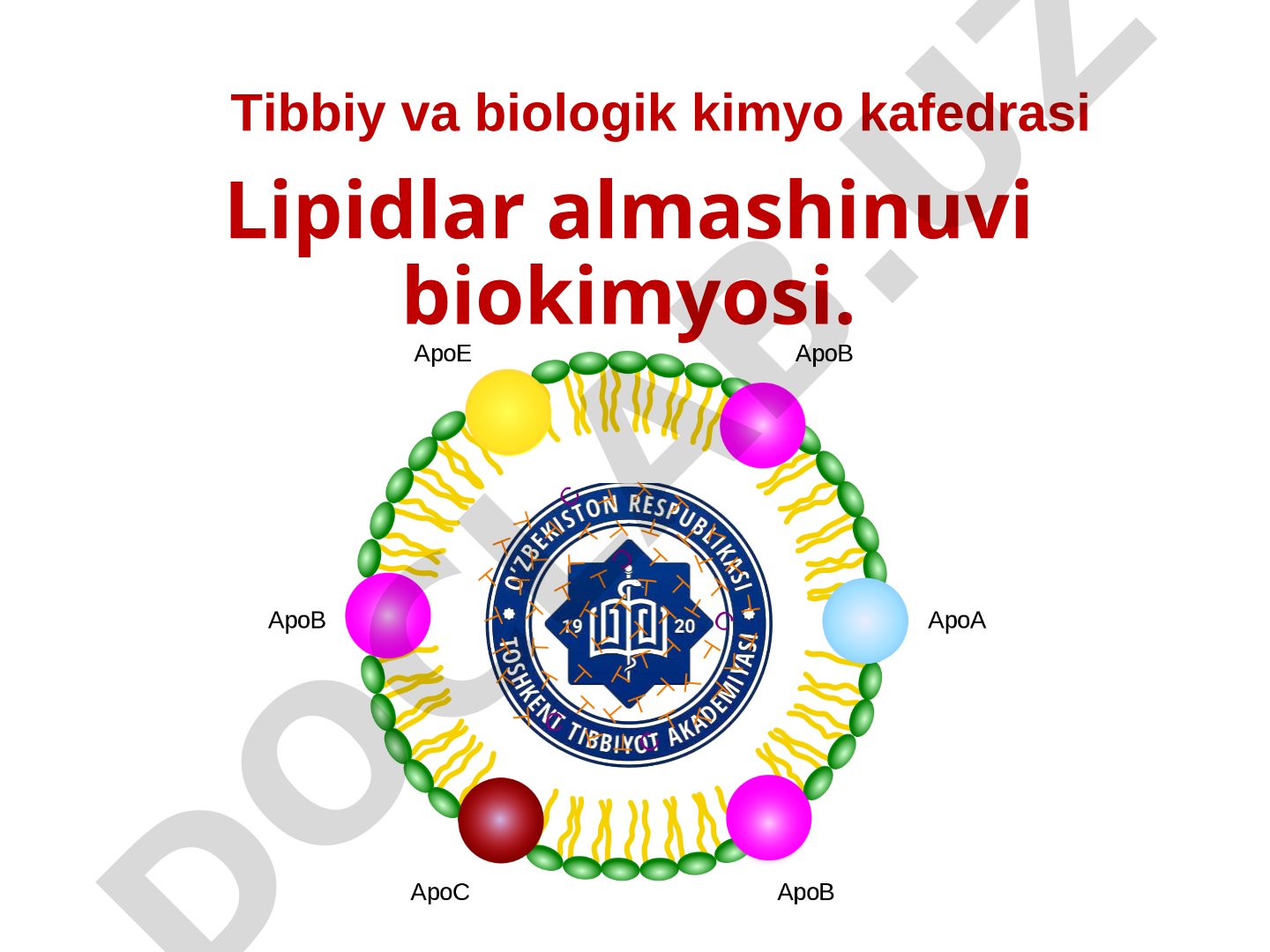 Lipidlar almashinuvi biokimyosi