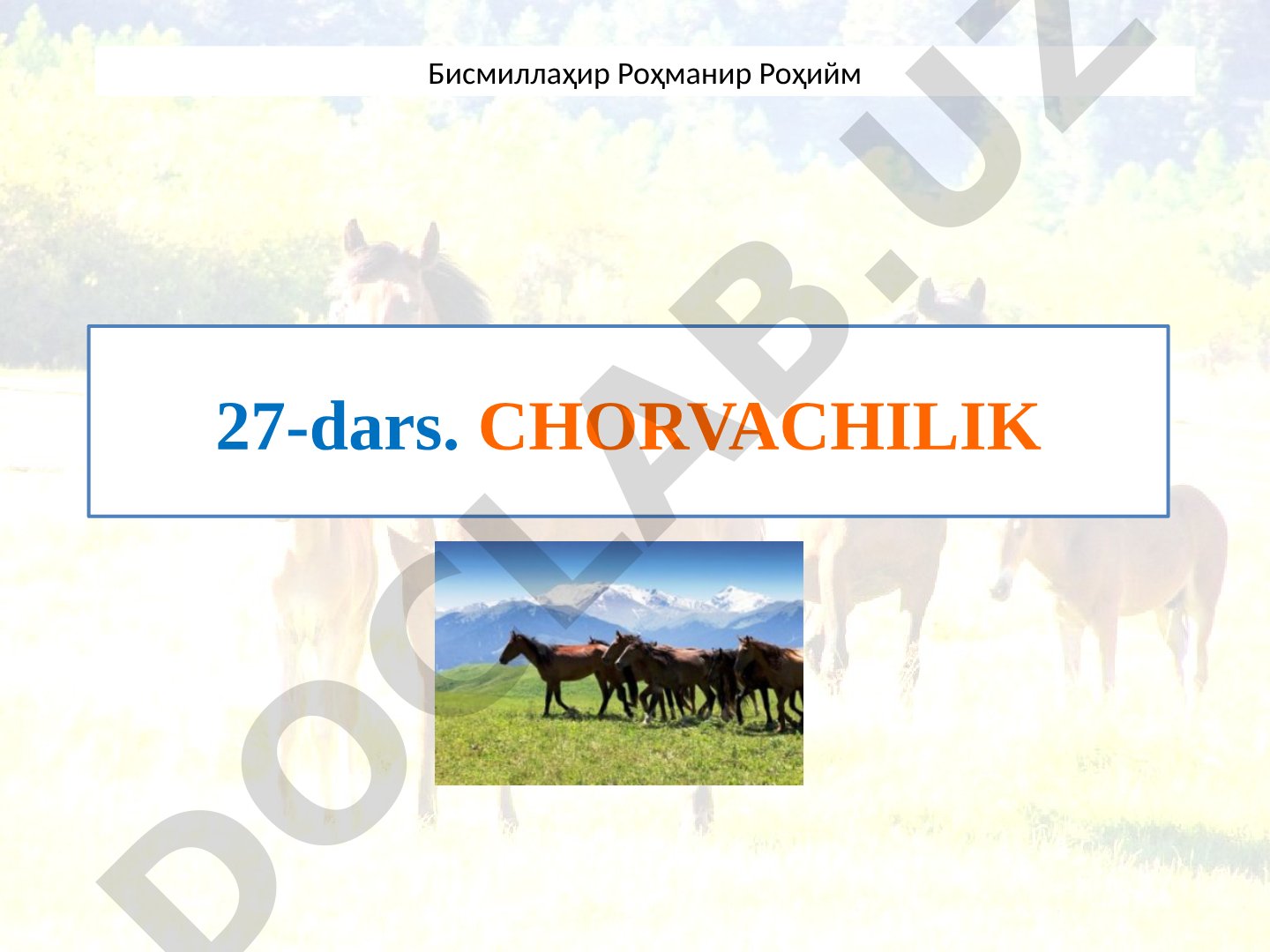 Chorvachilik tarmoqlari va ularning rivojlanishi