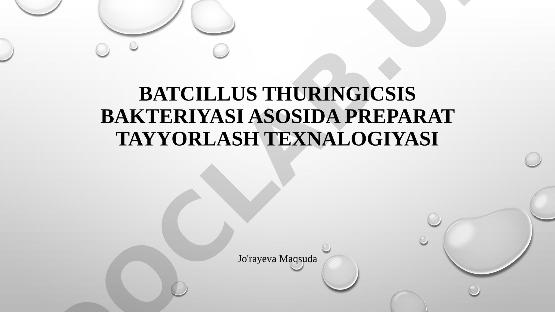 Batcillus thuringicsis bakteriyasi asosida preparat tayyorlash texnalogiyasi