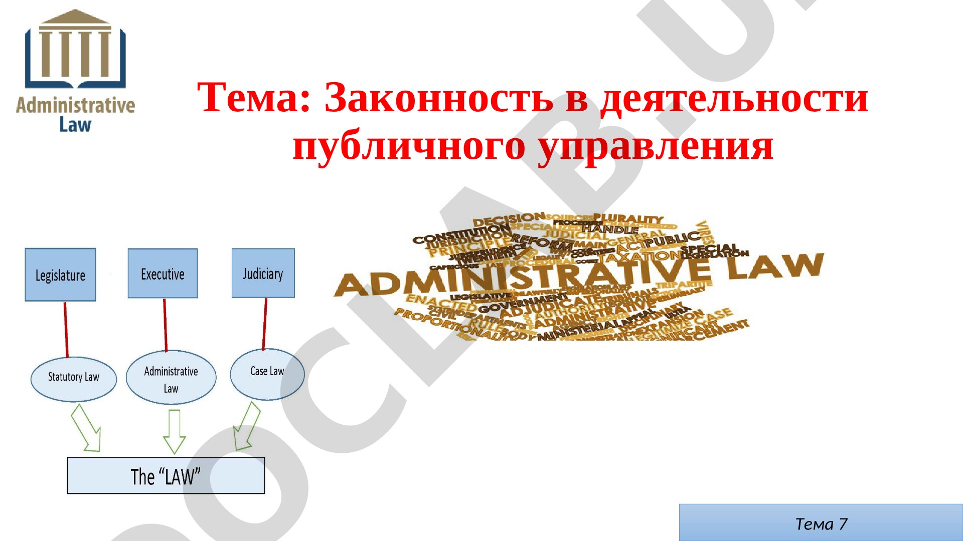 Законность в деятельности публичного управления