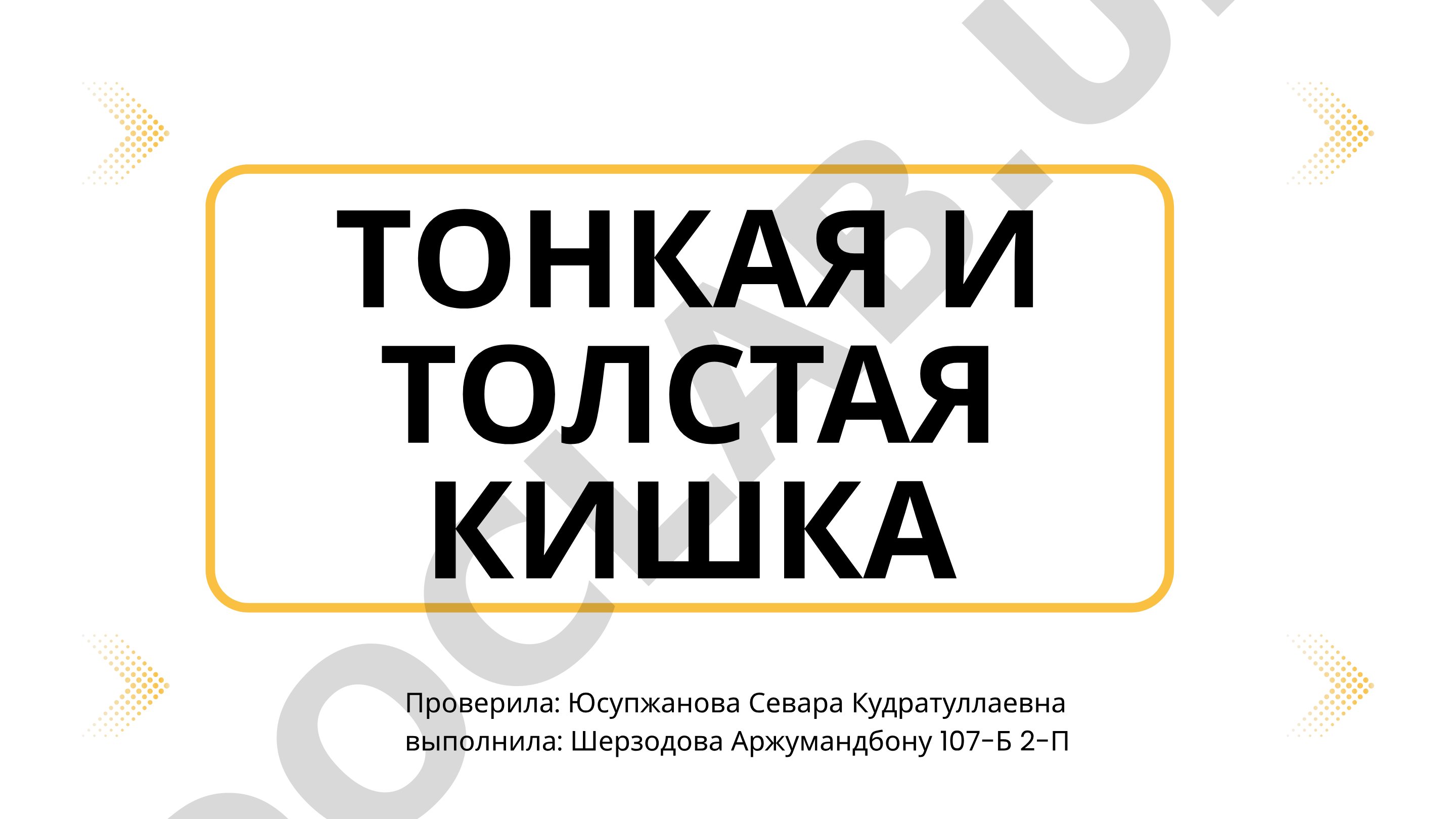 Тонкая и толстая кишка: анатомия