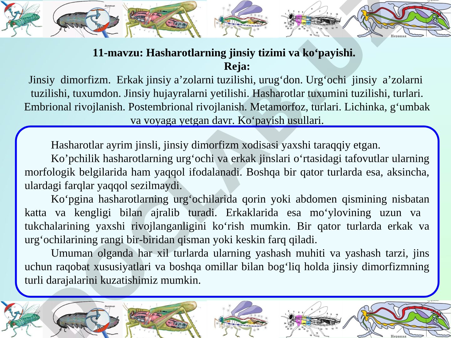 Hasharotlarning jinsiy tizimi va ko'payishi