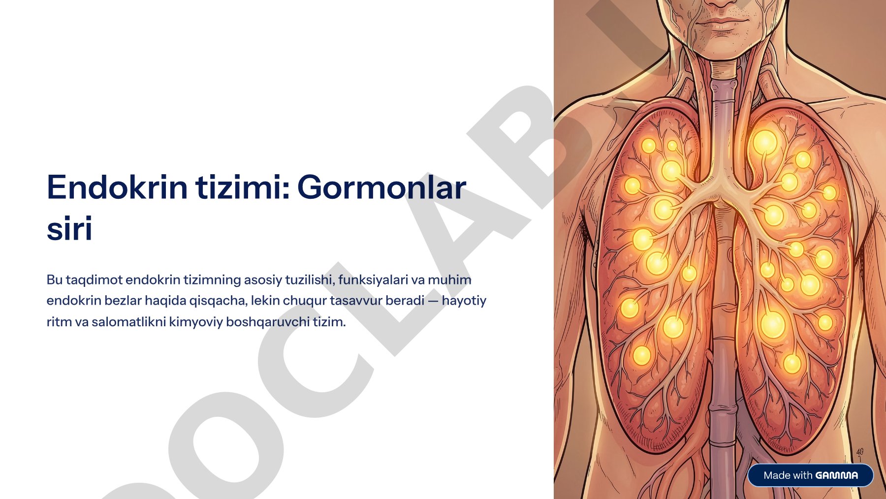 Endokrin tizimi: Gormonlar siri