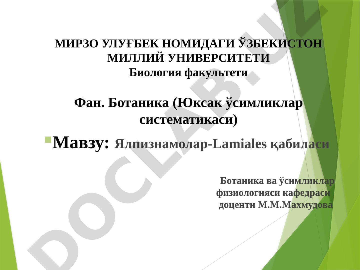 Ялпизнамолар-Lamiales қабиласи