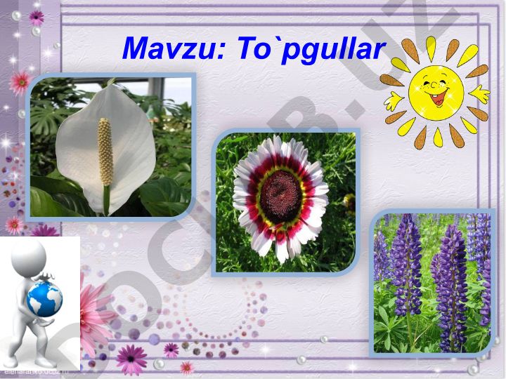 To`pgullar: turlari va xususiyatlari