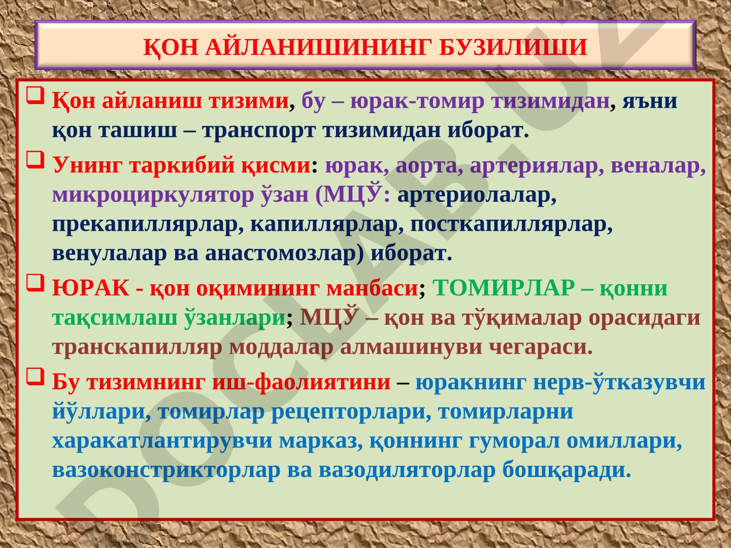 Қон айланиш тизими: тузилиши ва бузилишлари