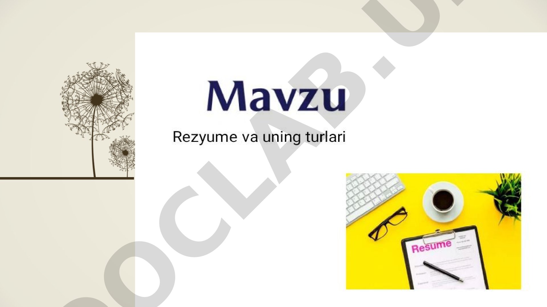 Lorem ipsum dolor sit amet, consectetur