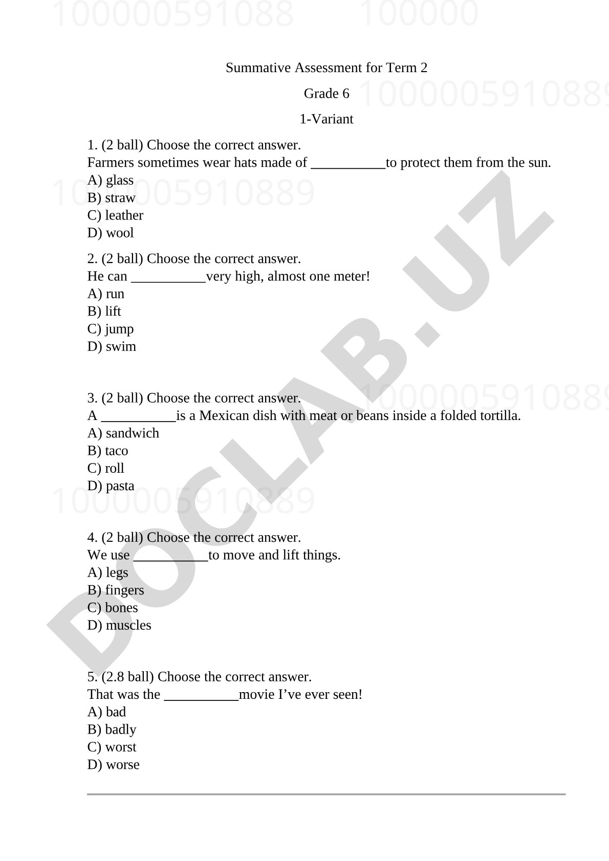 Grade 6 English Summative Assessment (Term 2)