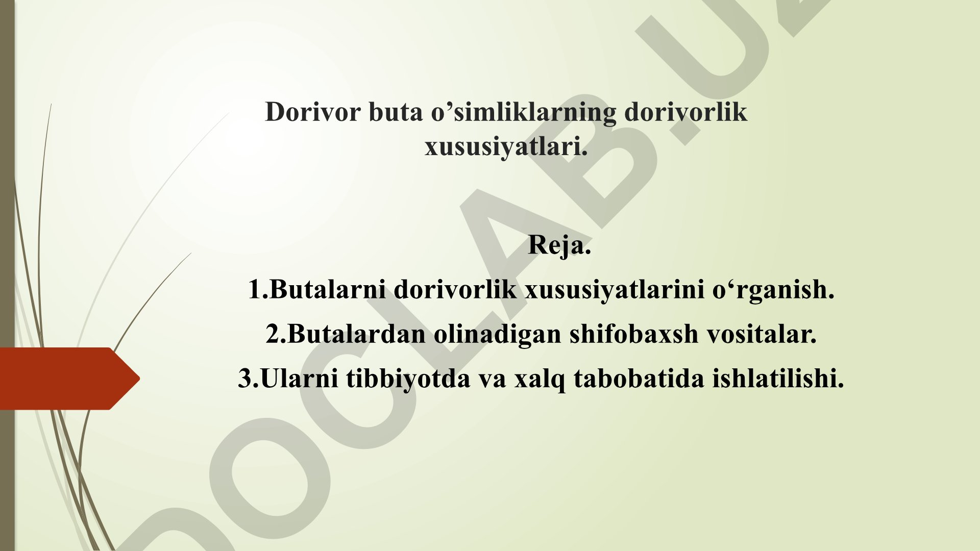 Dorivor buta o'simliklarning dorivorlik xususiyatlari