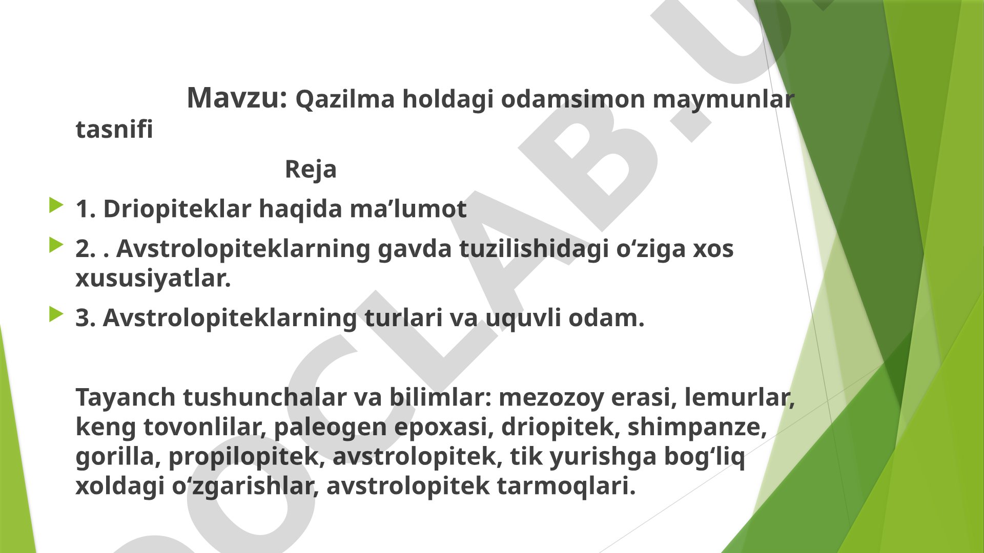 Qazilma holdagi odamsimon maymunlar tasnifi