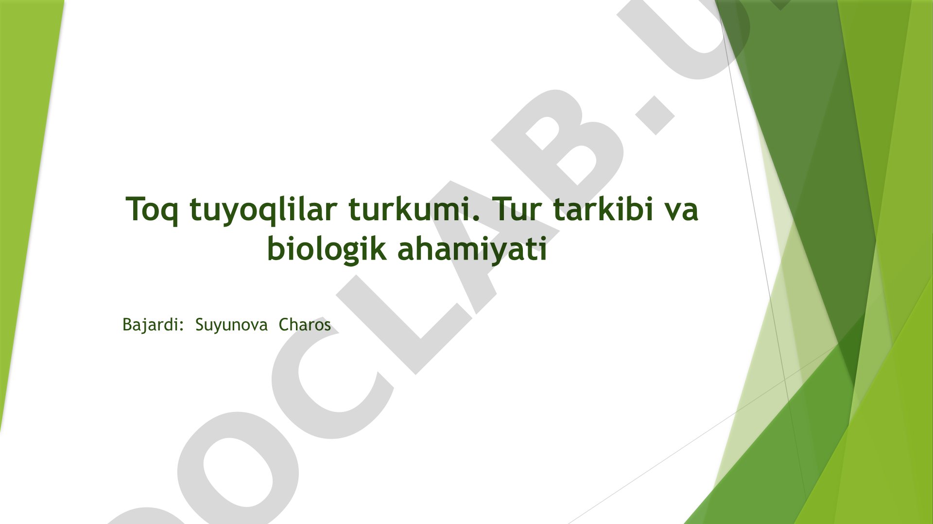 Toq tuyoqlilar turkumi. Tur tarkibi va biologik ahamiyati