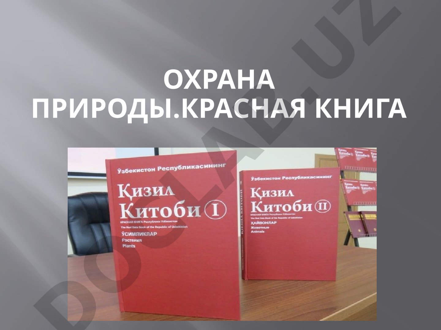Охрана природы. Красная книга