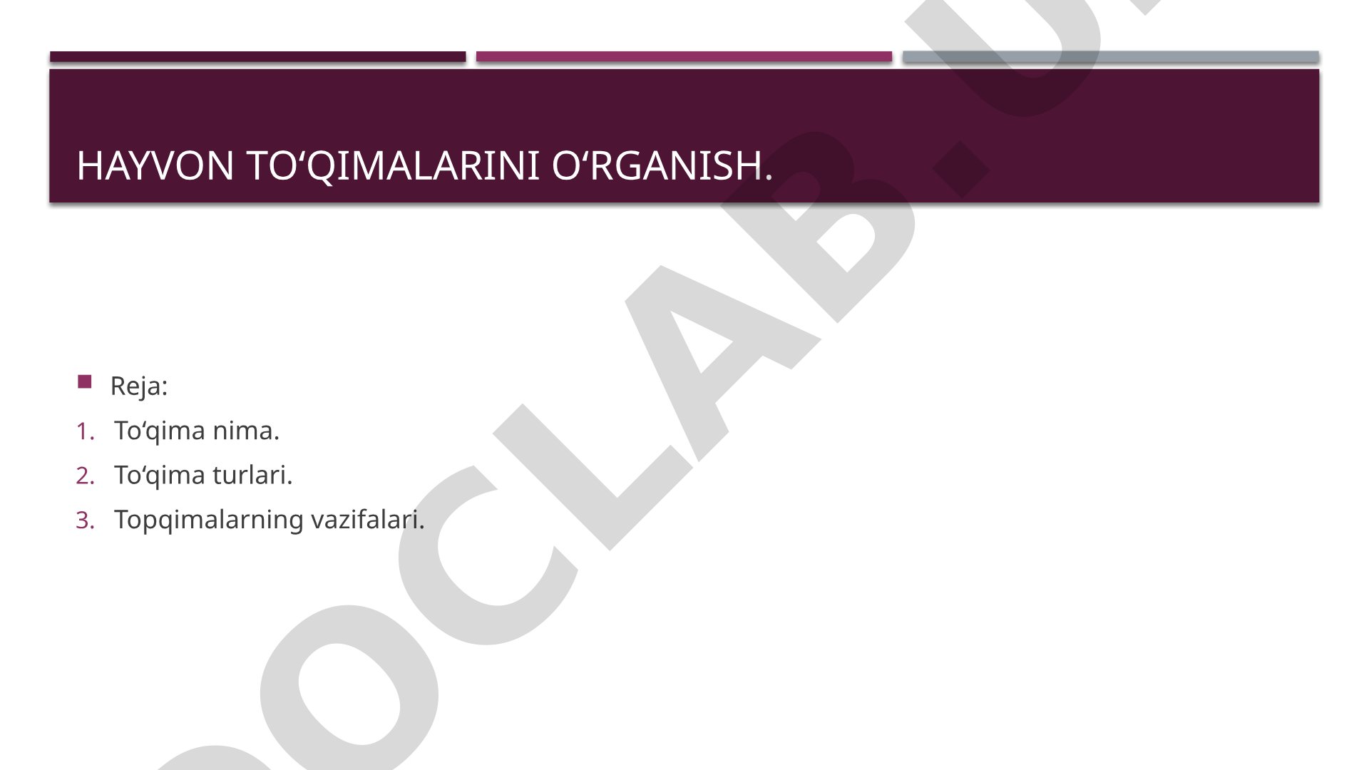 Hayvon to'qimalari: epiteliy, biriktiruvchi, muskul va nerv; vazifalari va rivojlanishi
