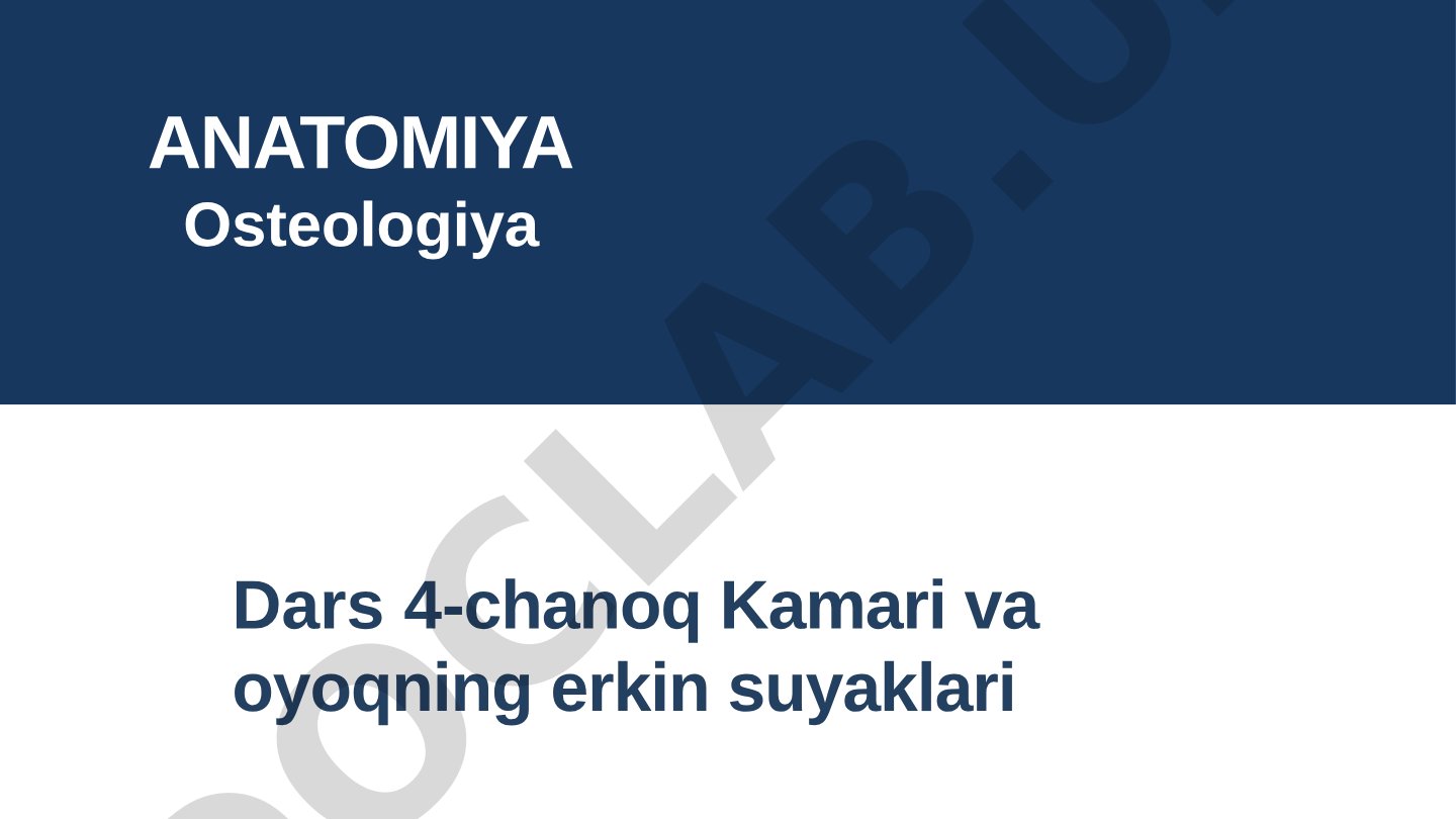 ANATOMIYA Osteologiya Dars 4-chanoq Kamari va oyoqning erkin suyaklari Tarkib