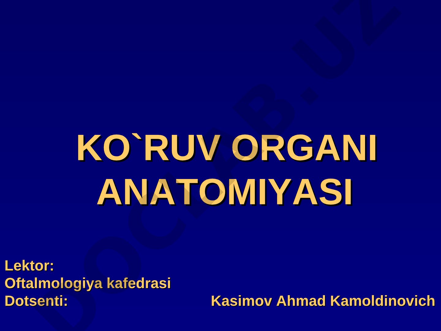 KO`RUV ORGANI ANATOMIYASI