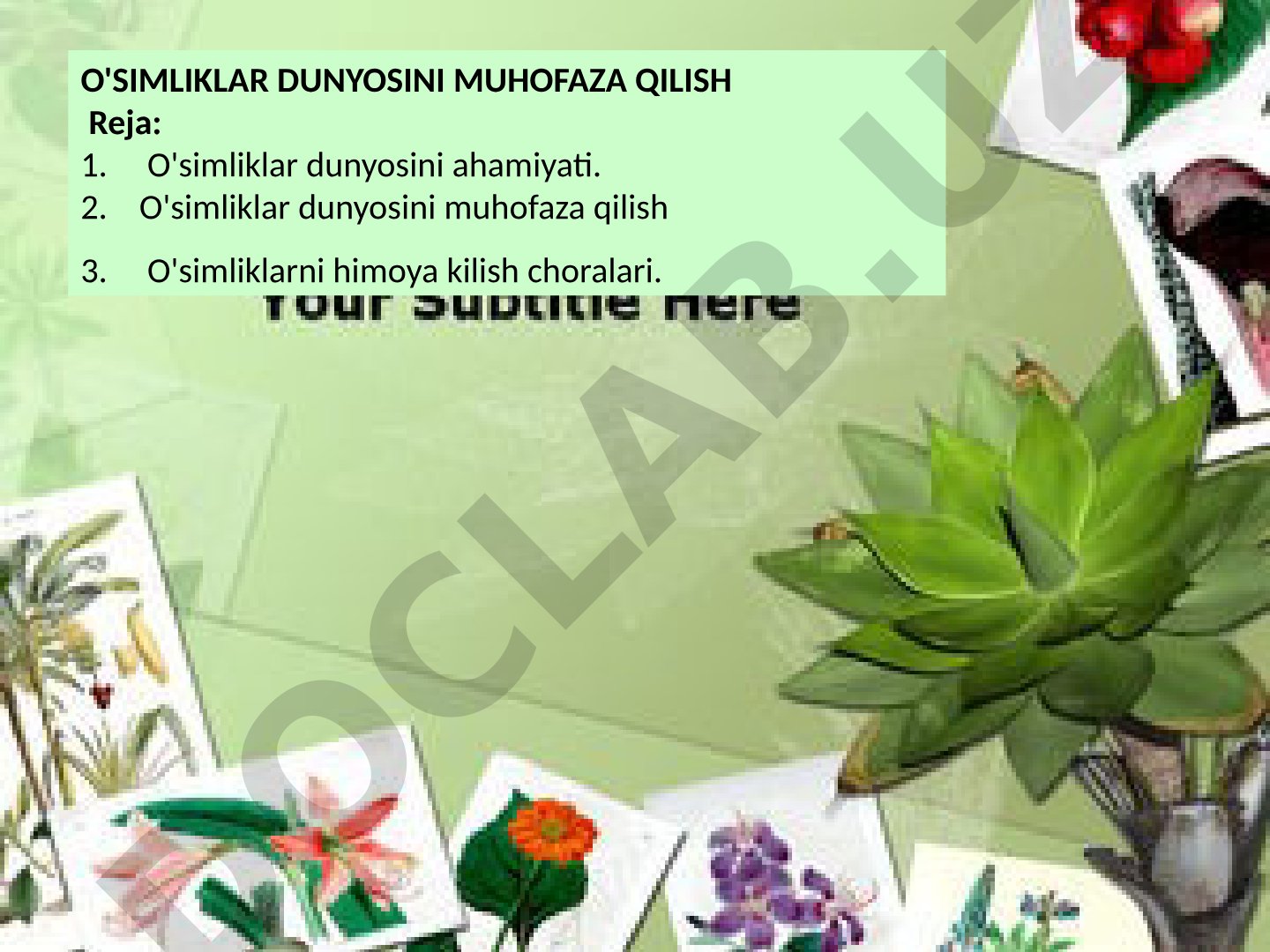 O'simliklar dunyosini muhofaza qilish