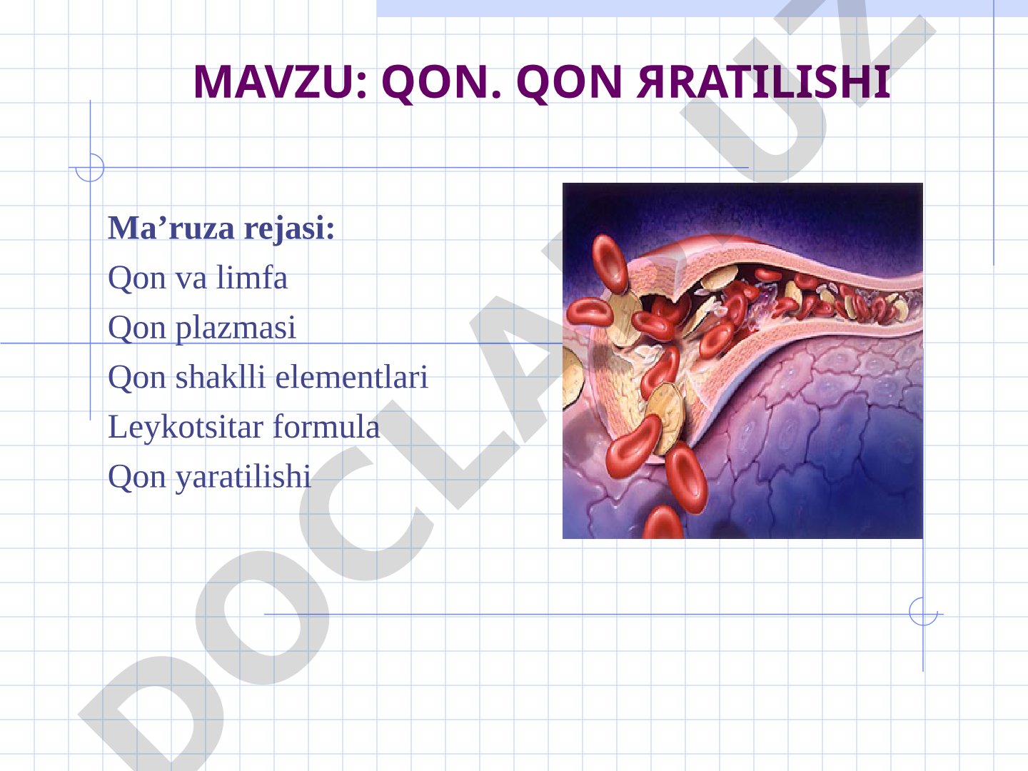 Qon. Qon yaratilishi