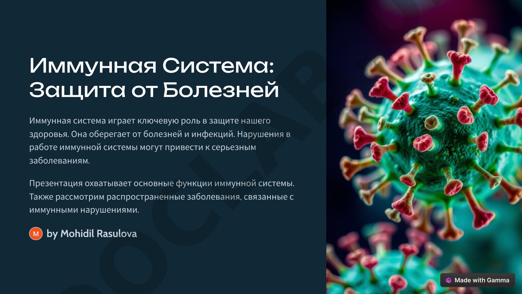 Информационная система: модели, компоненты и инструменты