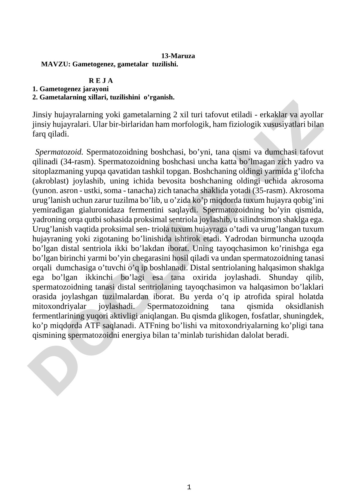 Gametogenez, gametalar tuzilishi