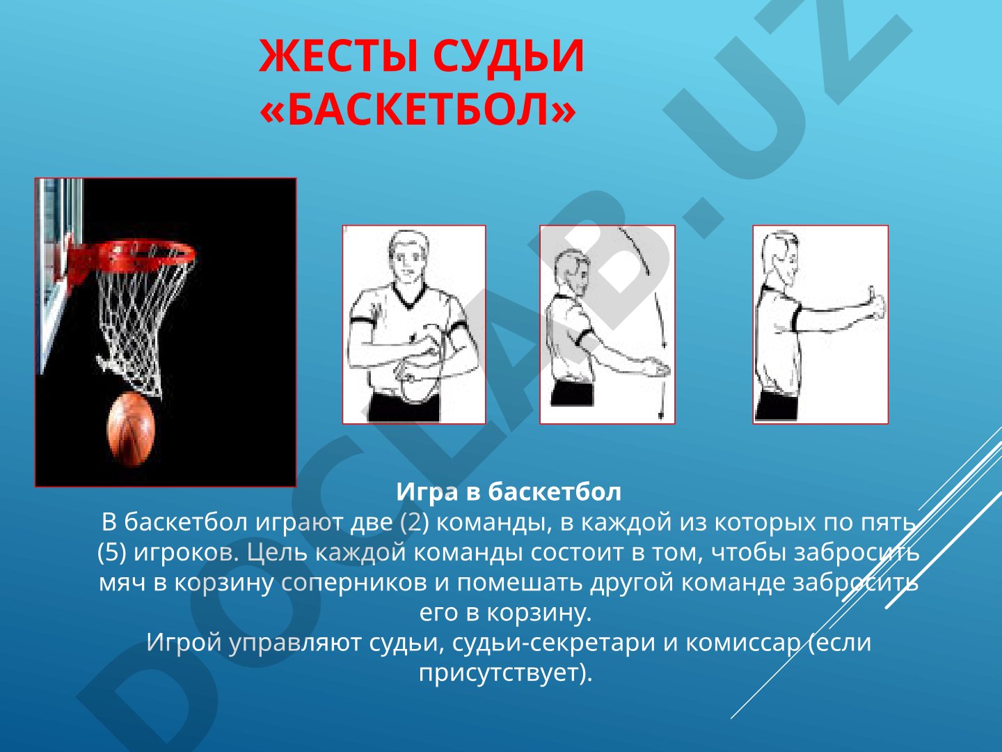 Основные правила баскетбола, размеры площадки и щита, жесты судьи